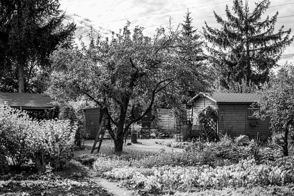 Tuinhuis: nut, voordelen en administratieve stappen